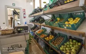 Arredamento Negozio Orto Frutta Bottega Artigiana Scaffalature Lecce
