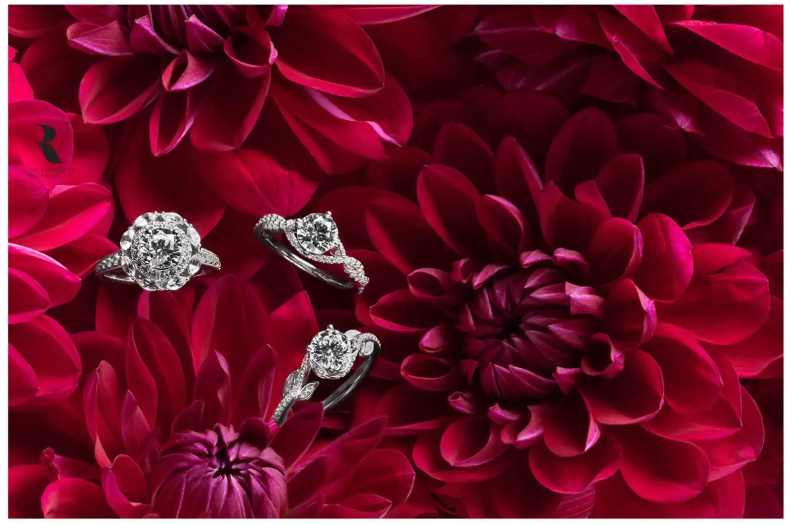 lisa romerein fotografa giolielli diamanti