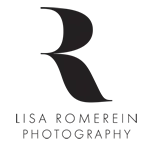 lisa romerein photography log