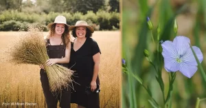 lino tessuto momento del raccolto shannon welsh e angela wartes kahl