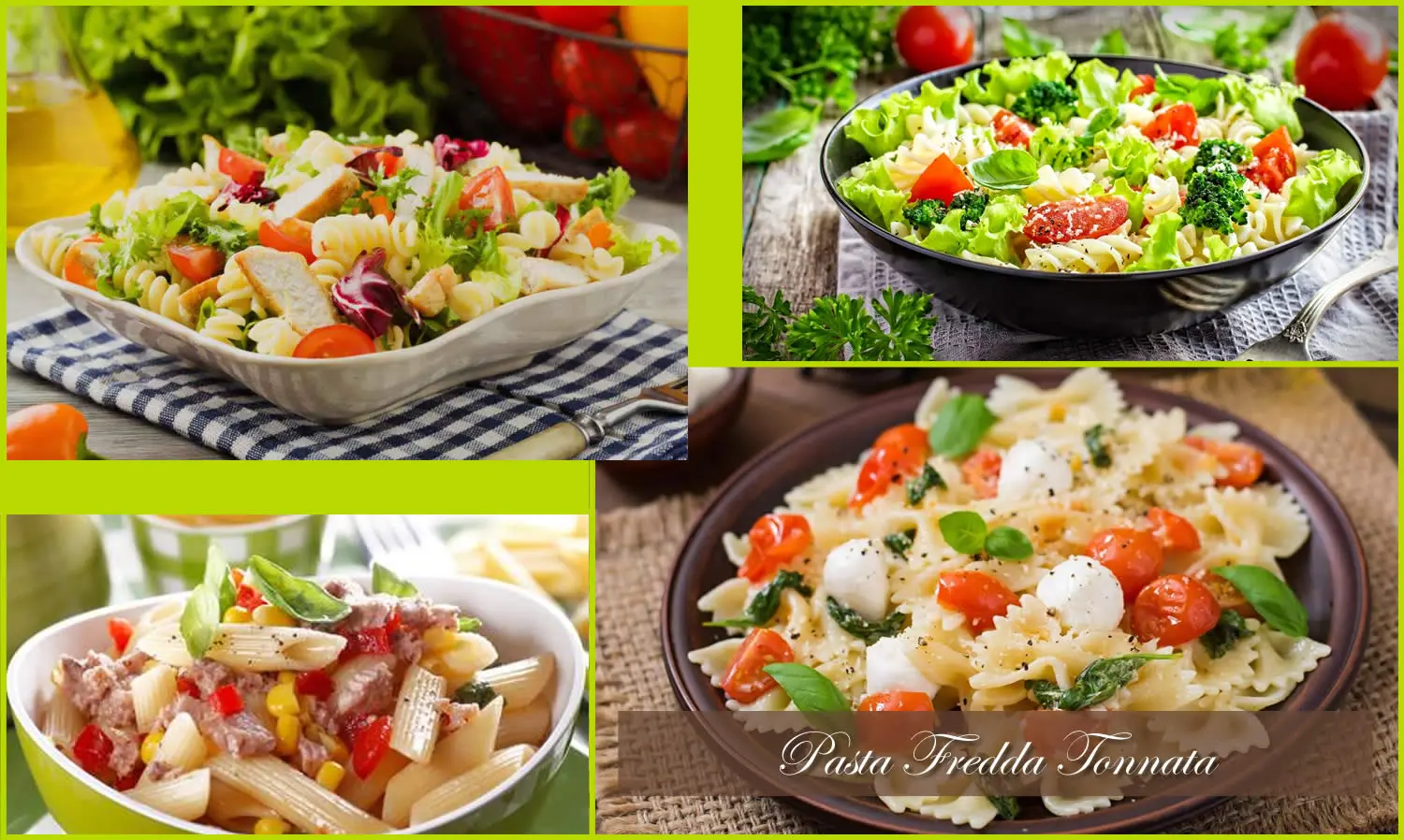 Pasta fredda tonnata la dolce vita a tavola