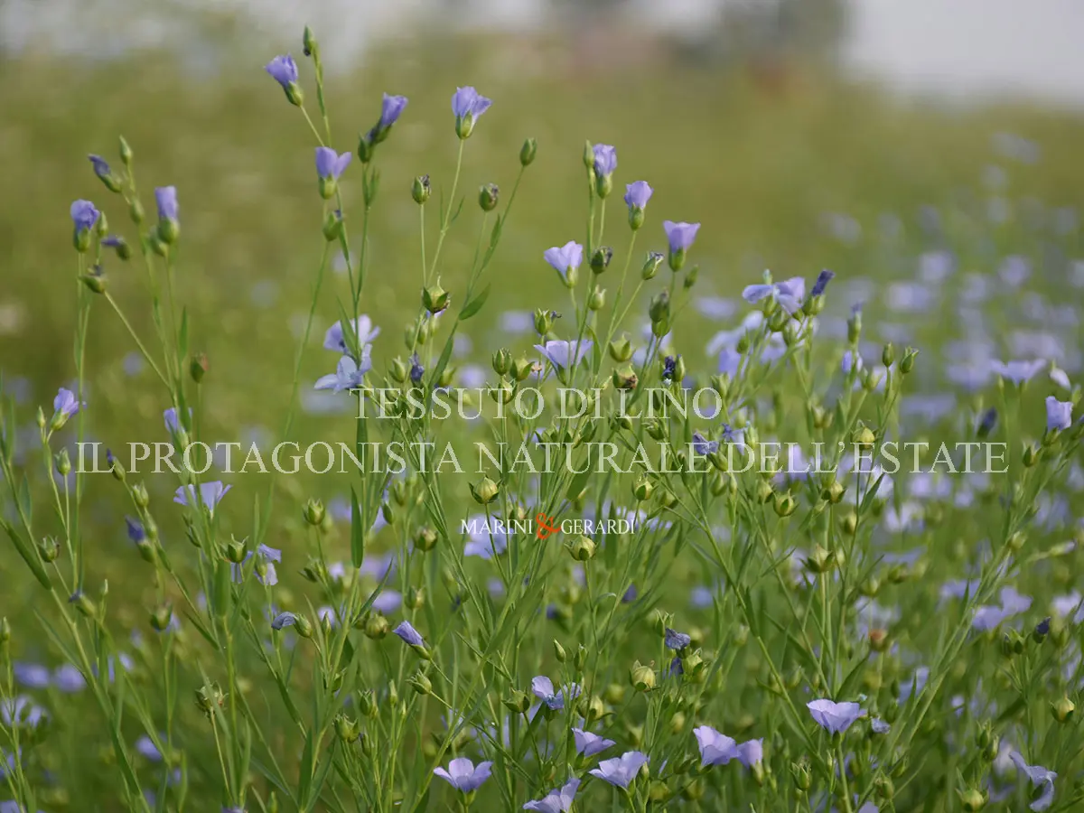 Tessuto di lino protagonista dell'estate
