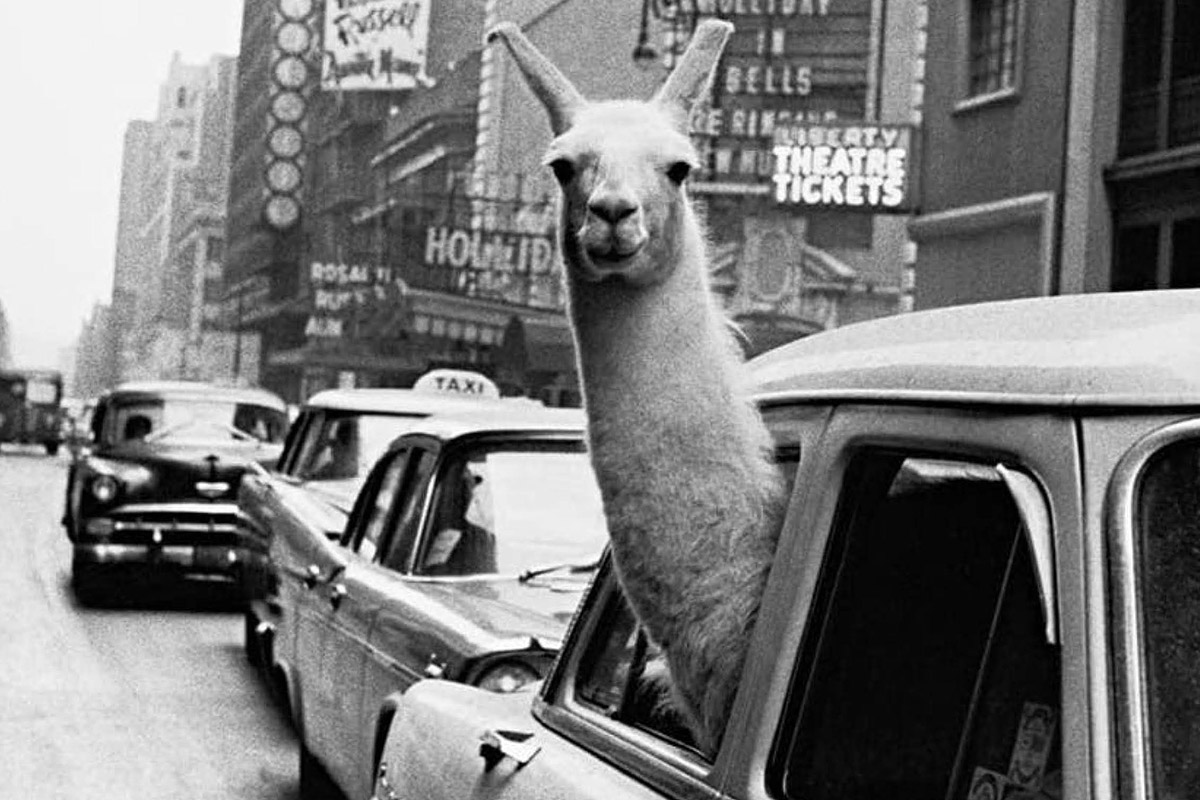 Lama a times square new york 1957 inge morath magnum photos