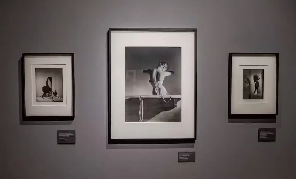 Gli scatti di oltre 70 fotografiparlano della collezome di carla sozzani