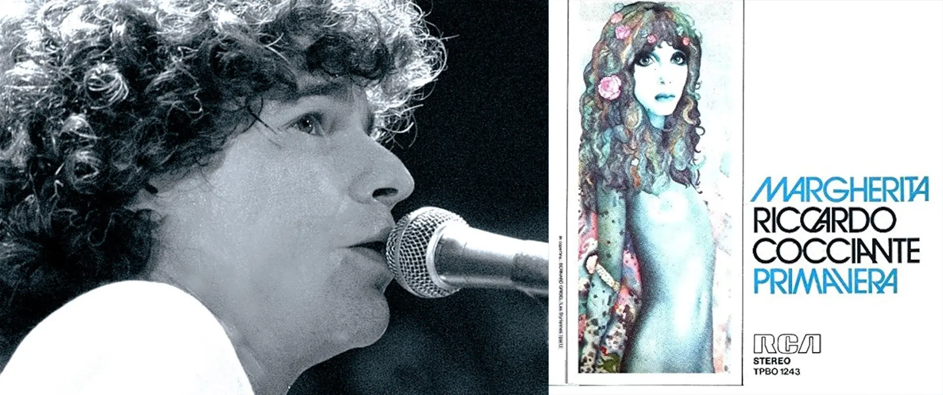 Riccardo cocciante margherita copertina